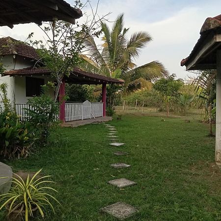 Apartament Sunshine Cafe Tangalle Zewnętrze zdjęcie