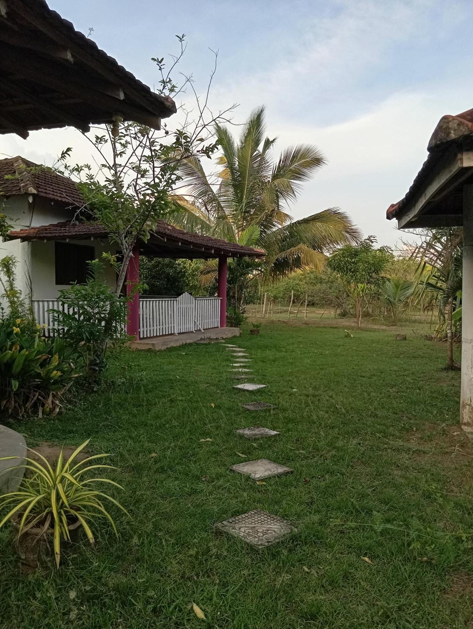 Apartament Sunshine Cafe Tangalle Zewnętrze zdjęcie