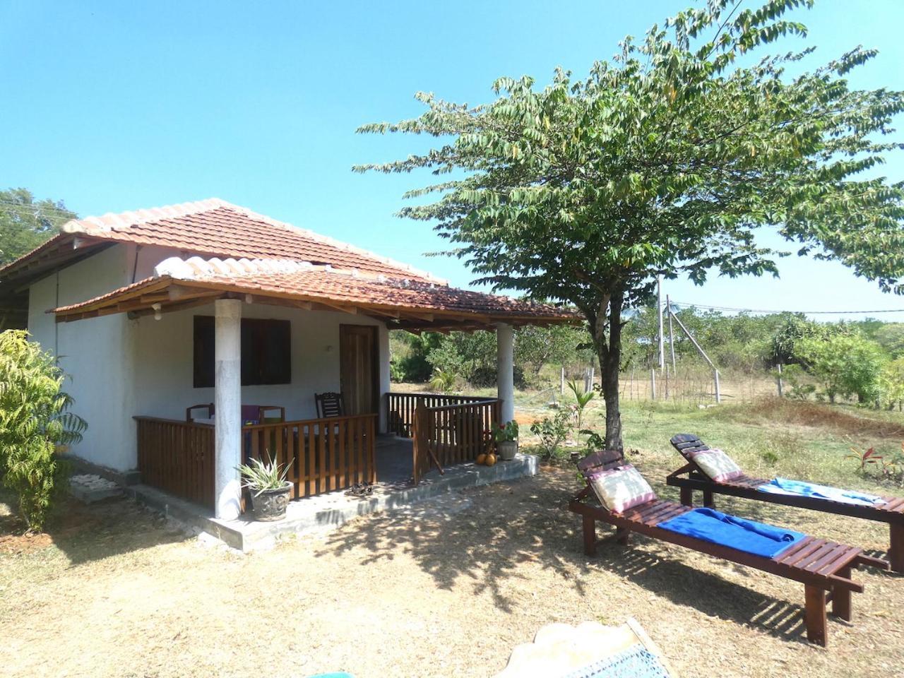 Apartament Sunshine Cafe Tangalle Zewnętrze zdjęcie