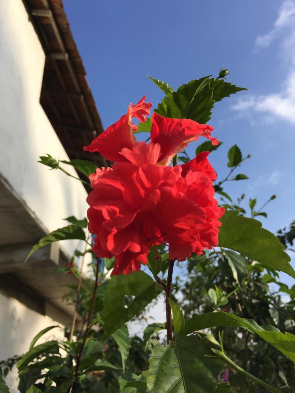 Apartament Sunshine Cafe Tangalle Zewnętrze zdjęcie